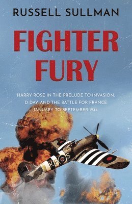 bokomslag Fighter Fury