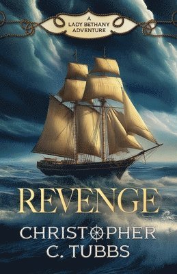 bokomslag Revenge