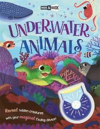 bokomslag Hide-and-Seek Underwater Animals