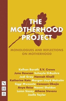 bokomslag Motherhood Project