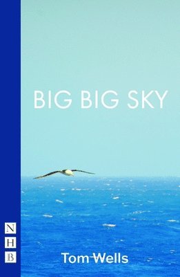 Tom Wells - Big Big Sky, Häftad