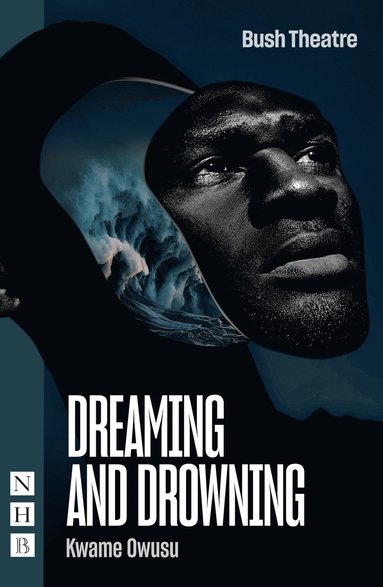 bokomslag Dreaming and Drowning