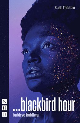 bokomslag ...blackbird hour