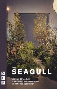 bokomslag Seagull