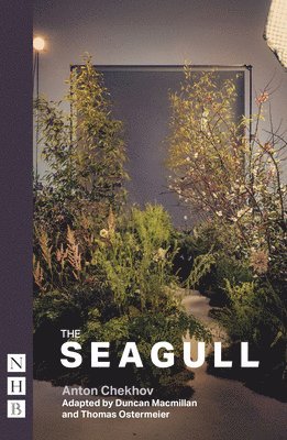 Seagull 1