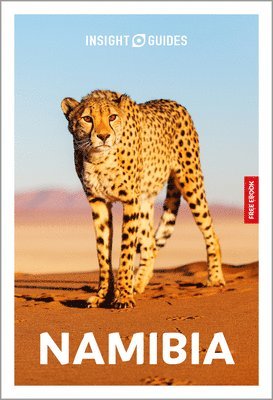 Insight Guides - Insight Guides Namibia: Travel Guide with eBook, Häftad