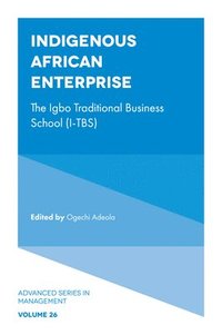 bokomslag Indigenous African Enterprise