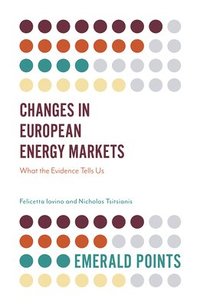 bokomslag Changes in European Energy Markets