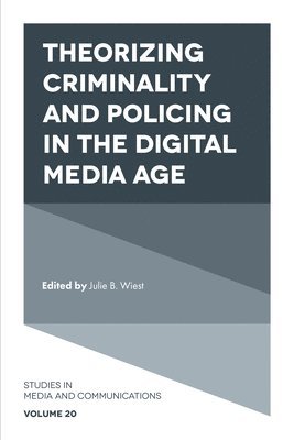 bokomslag Theorizing Criminality and Policing in the Digital Media Age