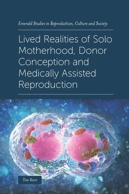 bokomslag Lived Realities of Solo Motherhood, Donor Conception and Medically Assisted Reproduction