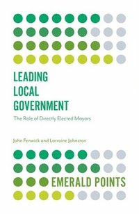 bokomslag Leading Local Government