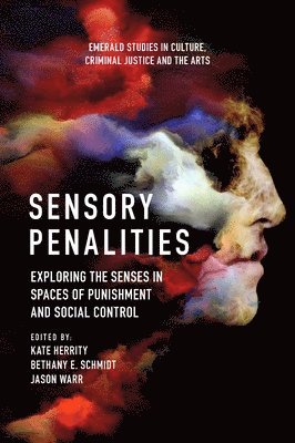 bokomslag Sensory Penalities