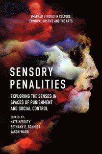 bokomslag Sensory Penalities