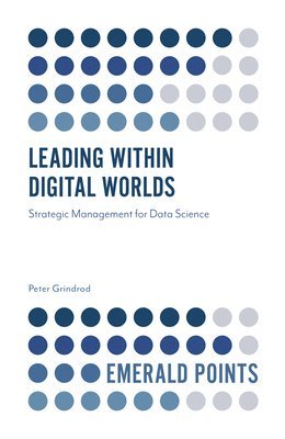 bokomslag Leading within Digital Worlds