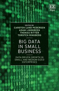 bokomslag Big Data in Small Business