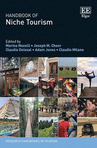 bokomslag Handbook of Niche Tourism