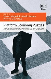 bokomslag Platform Economy Puzzles