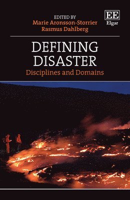 bokomslag Defining Disaster