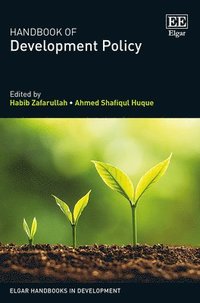 bokomslag Handbook of Development Policy