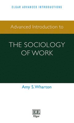 bokomslag Advanced Introduction to the Sociology of Work