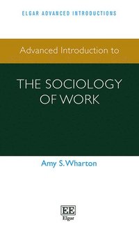 bokomslag Advanced Introduction to the Sociology of Work