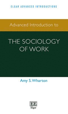 Advanced Introduction to the Sociology of Work 1