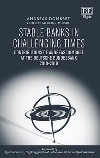 bokomslag Stable Banks in Challenging Times
