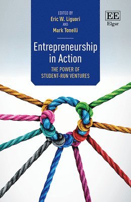 Entrepreneurship in Action 1