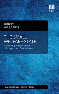 bokomslag The Small Welfare State