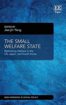 bokomslag Small Welfare State