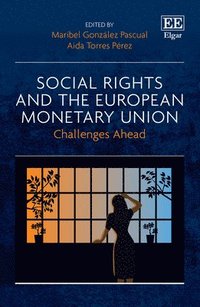 bokomslag Social Rights and the European Monetary Union