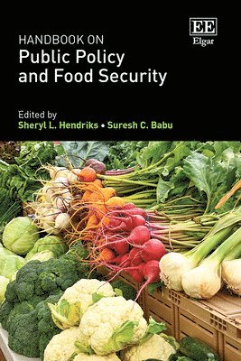 Handbook on Public Policy and Food Security 1