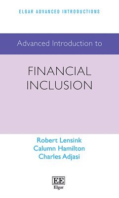 bokomslag Advanced Introduction to Financial Inclusion