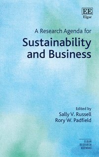 bokomslag A Research Agenda for Sustainability and Business