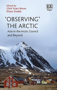 bokomslag 'Observing' the Arctic