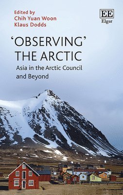 'Observing' the Arctic 1