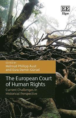 Helmut Philipp Aust, Esra Demir-Gürsel - European Court of Human Rights, Inbunden