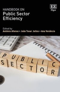 bokomslag Handbook on Public Sector Efficiency