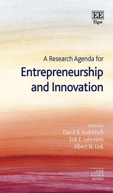 David B. Audretsch, Erik E. Lehmann, Albert N. Link - Research Agenda for Entrepreneurship and Innovation, Häftad