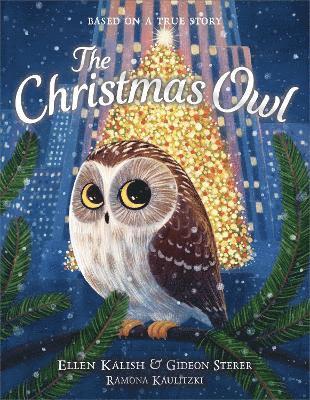 Gideon Sterer, Ellen Kalish - The Christmas Owl, Inbunden