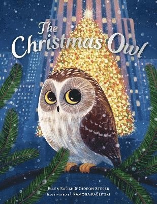 Christmas Owl 1