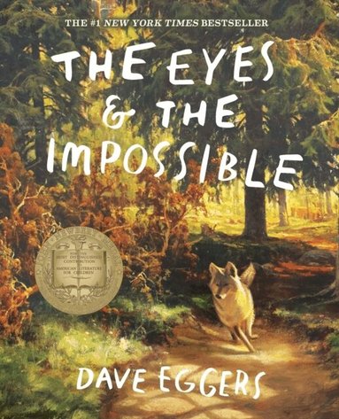 Dave Eggers - Eyes and the Impossible, Häftad