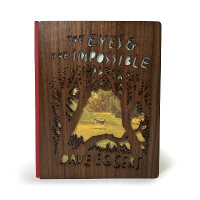 Eyes and the Impossible