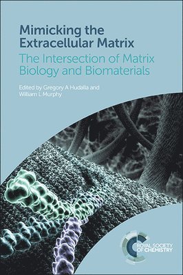 bokomslag Mimicking the Extracellular Matrix