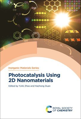 bokomslag Photocatalysis Using 2D Nanomaterials