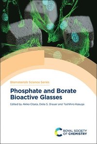 bokomslag Phosphate and Borate Bioactive Glasses