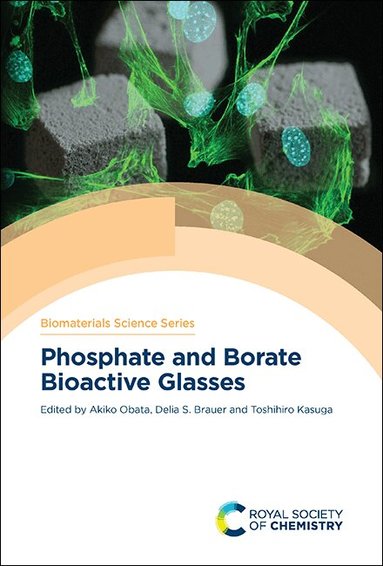 Akiko Obata, Delia S Brauer, Toshihiro Kasuga - Phosphate and Borate Bioactive Glasses, Inbunden