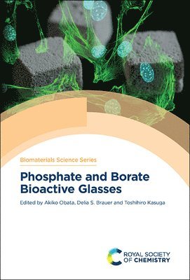 Phosphate and Borate Bioactive Glasses 1