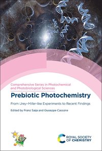 bokomslag Prebiotic Photochemistry