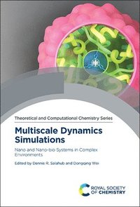 bokomslag Multiscale Dynamics Simulations